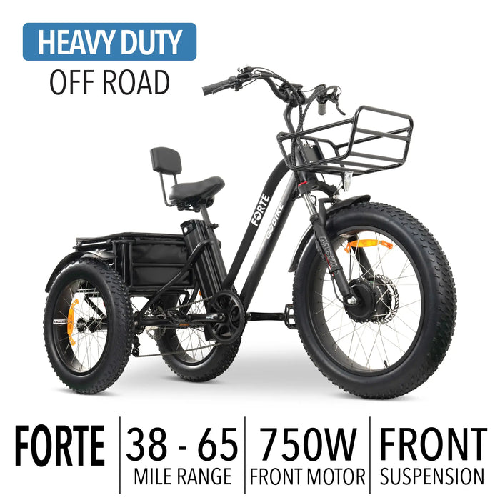 GOBike-FORTE-Heavy-Duty Electric Tricycle