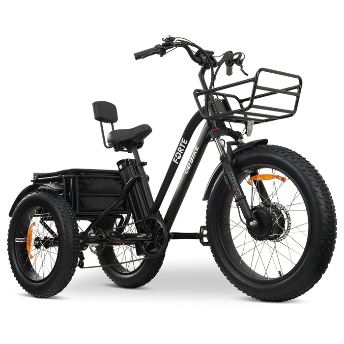 GOBike-FORTE-Heavy-Duty Electric Tricycle