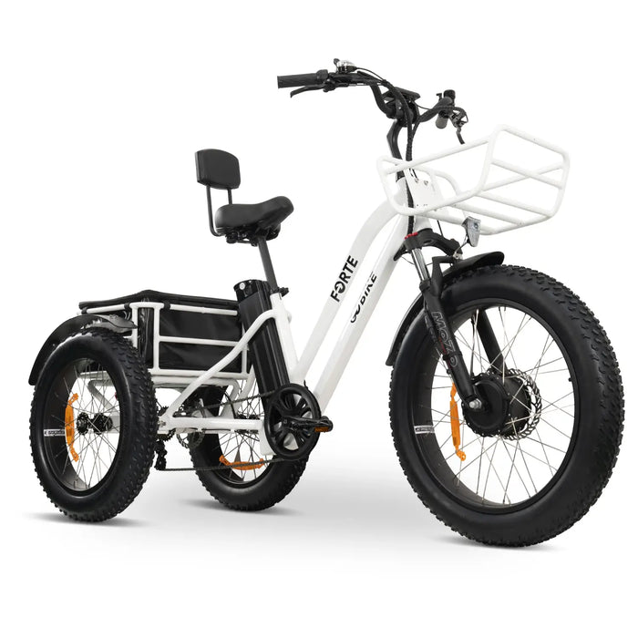 GOBike-FORTE-Heavy-Duty Electric Tricycle