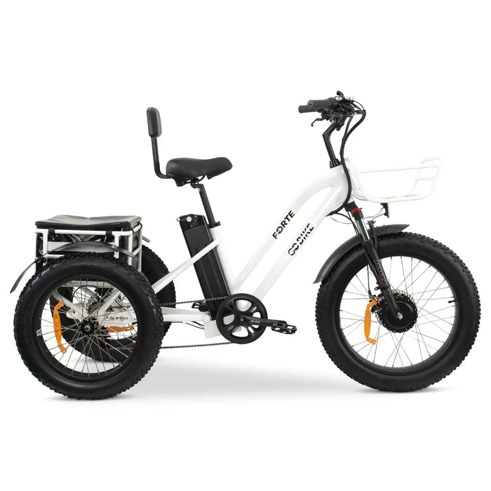 GOBike-FORTE-Heavy-Duty Electric Tricycle