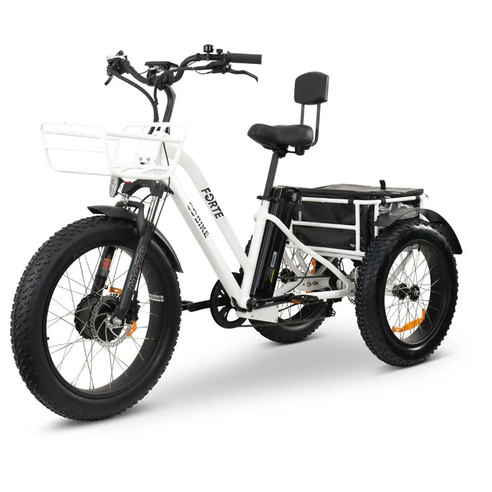 GOBike-FORTE-Heavy-Duty Electric Tricycle