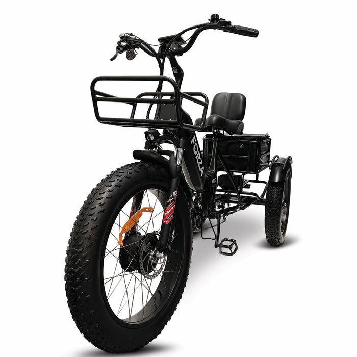 GOBike-FORZA Electric Tricycle-eBike-Heavy Duty-440 lbs Weight Capacity