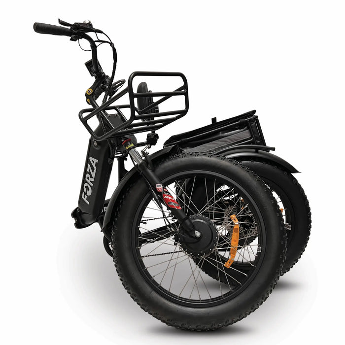 GOBike-FORZA Electric Tricycle-eBike-Heavy Duty-440 lbs Weight Capacity