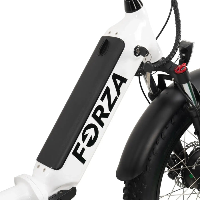 GOBike-FORZA Electric Tricycle-eBike-Heavy Duty-440 lbs Weight Capacity