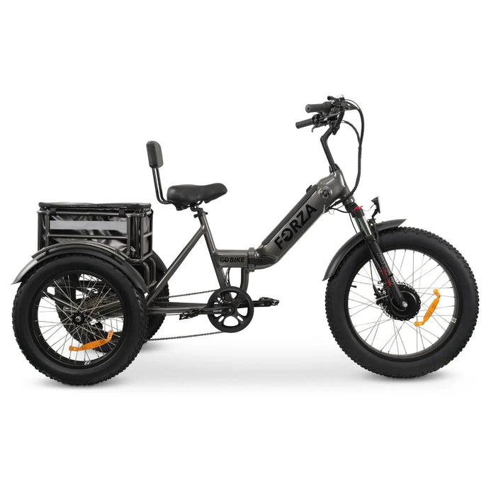 GOBike-FORZA Electric Tricycle-eBike-Heavy Duty-440 lbs Weight Capacity