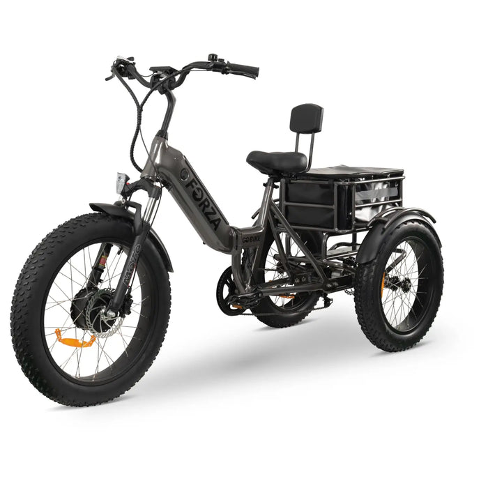 GOBike-FORZA Electric Tricycle-eBike-Heavy Duty-440 lbs Weight Capacity