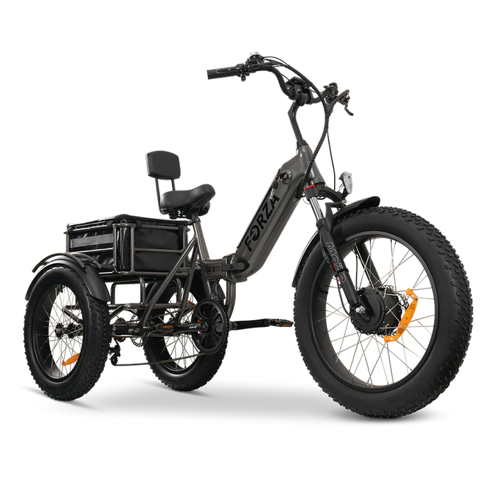 GOBike-FORZA Electric Tricycle-eBike-Heavy Duty-440 lbs Weight Capacity